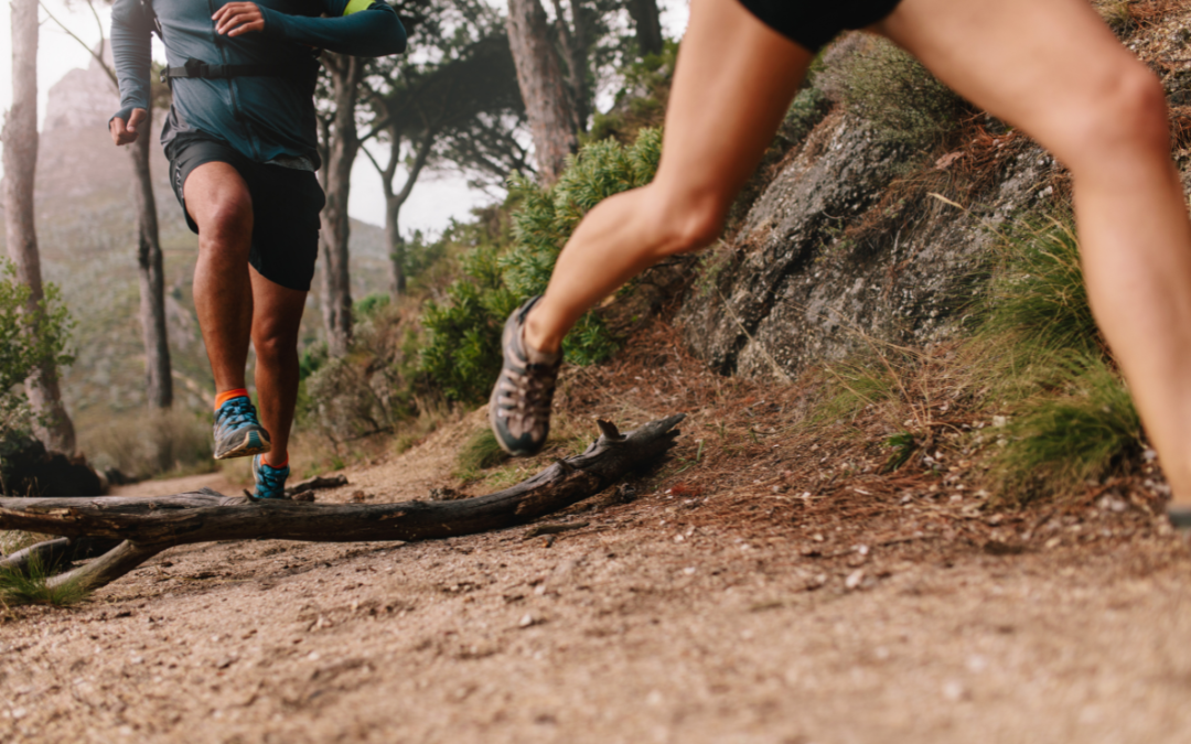 Trail Running Shoe Guide